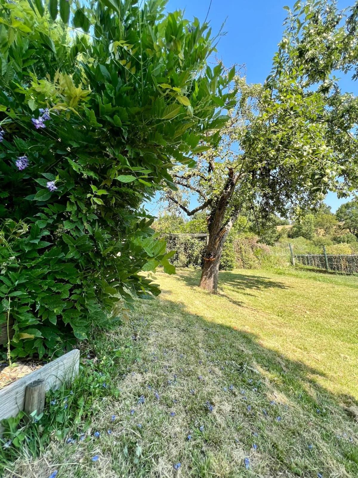 Villa La Baronnie - 11 Pers - Proche Brive -Jardin 尤塞克 外观 照片